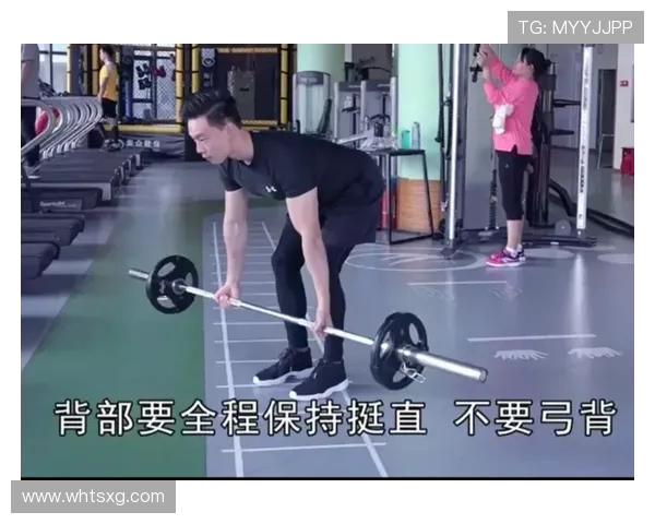 高拉力训练器使用技巧与背部肌肉全面训练方法解析