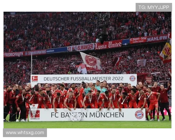 德甲资本介入球队的现状与未来发展趋势